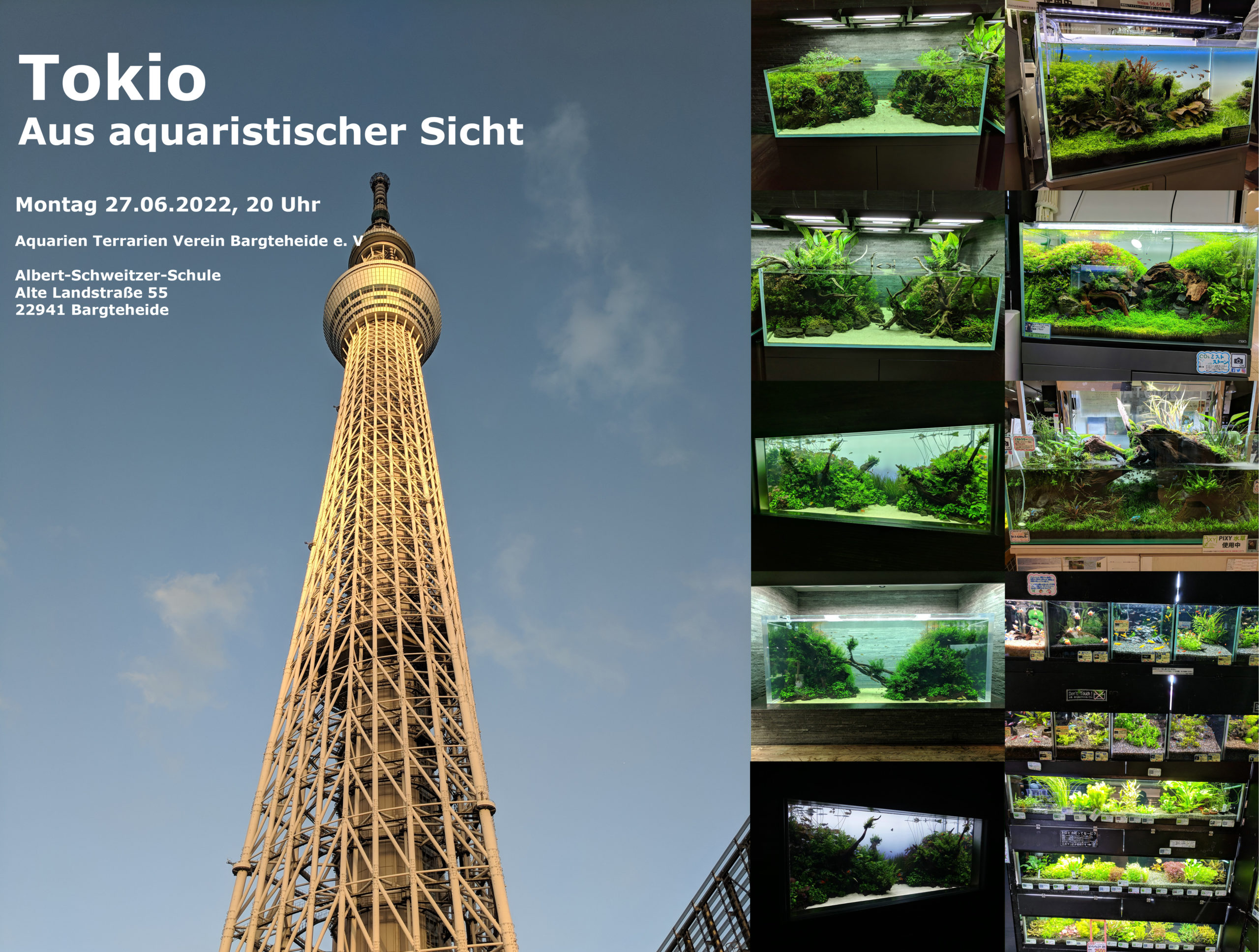 Der Tokio Skytree und Bilder von Aquarien